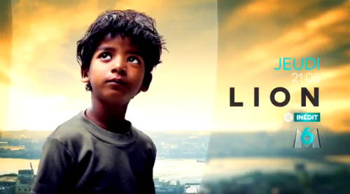 lion film News Actual