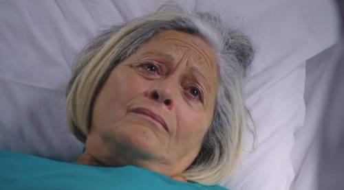 pblv3911 News Actual