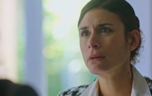 pblv3941 News Actual