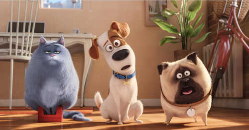 comme des b&ecirc;tes News Actual