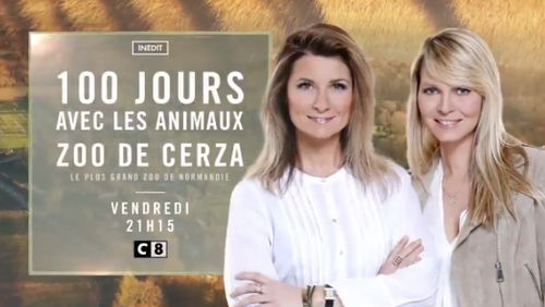 zoo cerza c8 News Actual