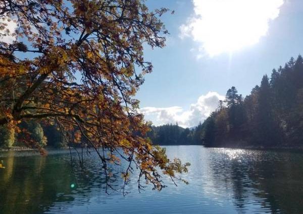 echappes belles vosges News Actual