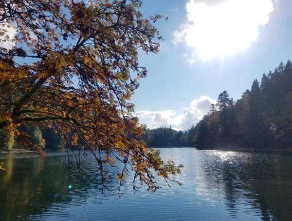 echappes belles vosges News Actual