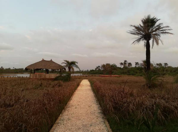 echapppes belles senegal News Actual