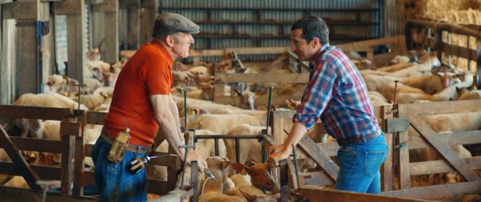 au nom de la terre News Actual