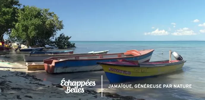 echappees belles Jamaique News Actual