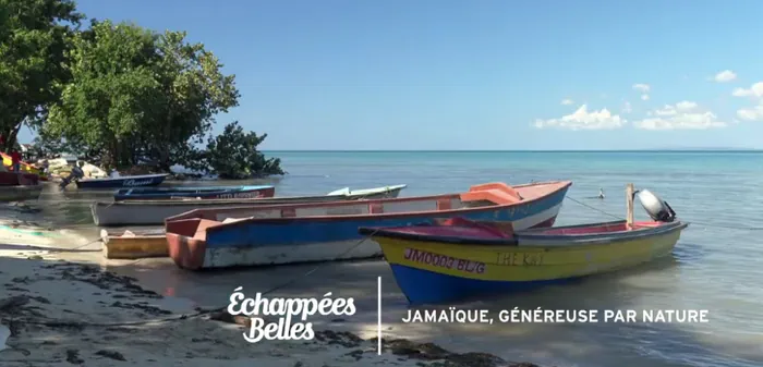 echappees belles Jamaique echappees belles Jamaique News Actual