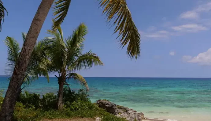 echappees belles nouvelle caledonie News Actual