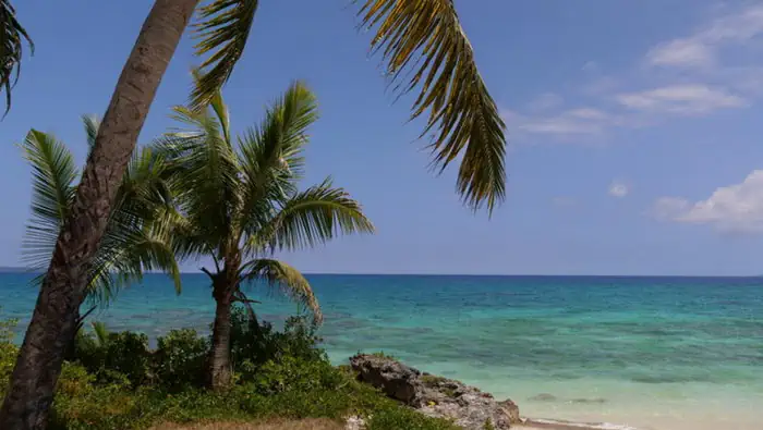 echappees belles nouvelle caledonie News Actual