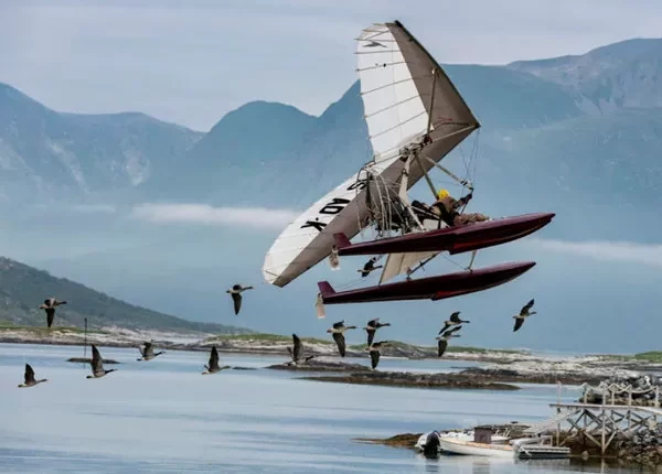 donne moi des ailes News Actual