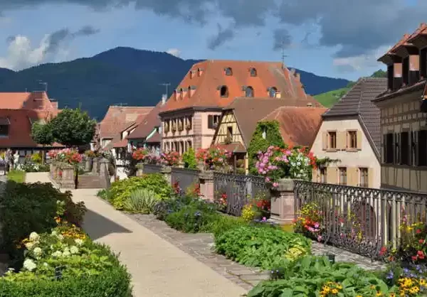 BERGHEIM News Actual