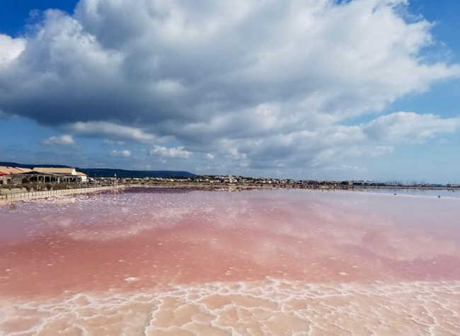 Echappees belles Narbonne News Actual