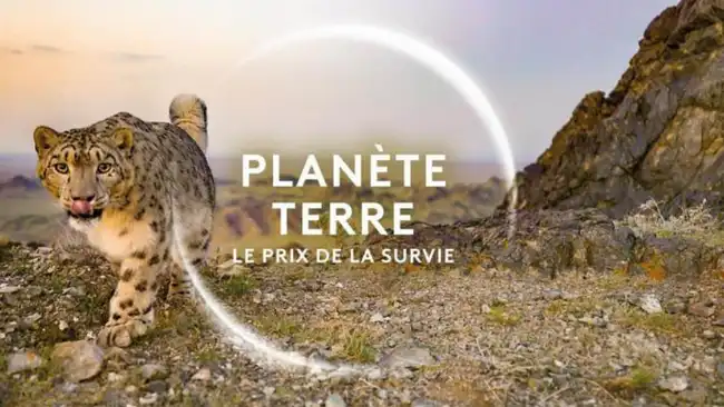 Planete terre le prix de la survie News Actual